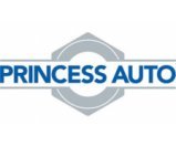 Princess Auto.JPG